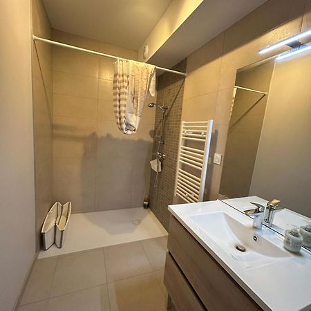 Appartement Avec Jardin Chateauneuf-de-Galaure Экстерьер фото