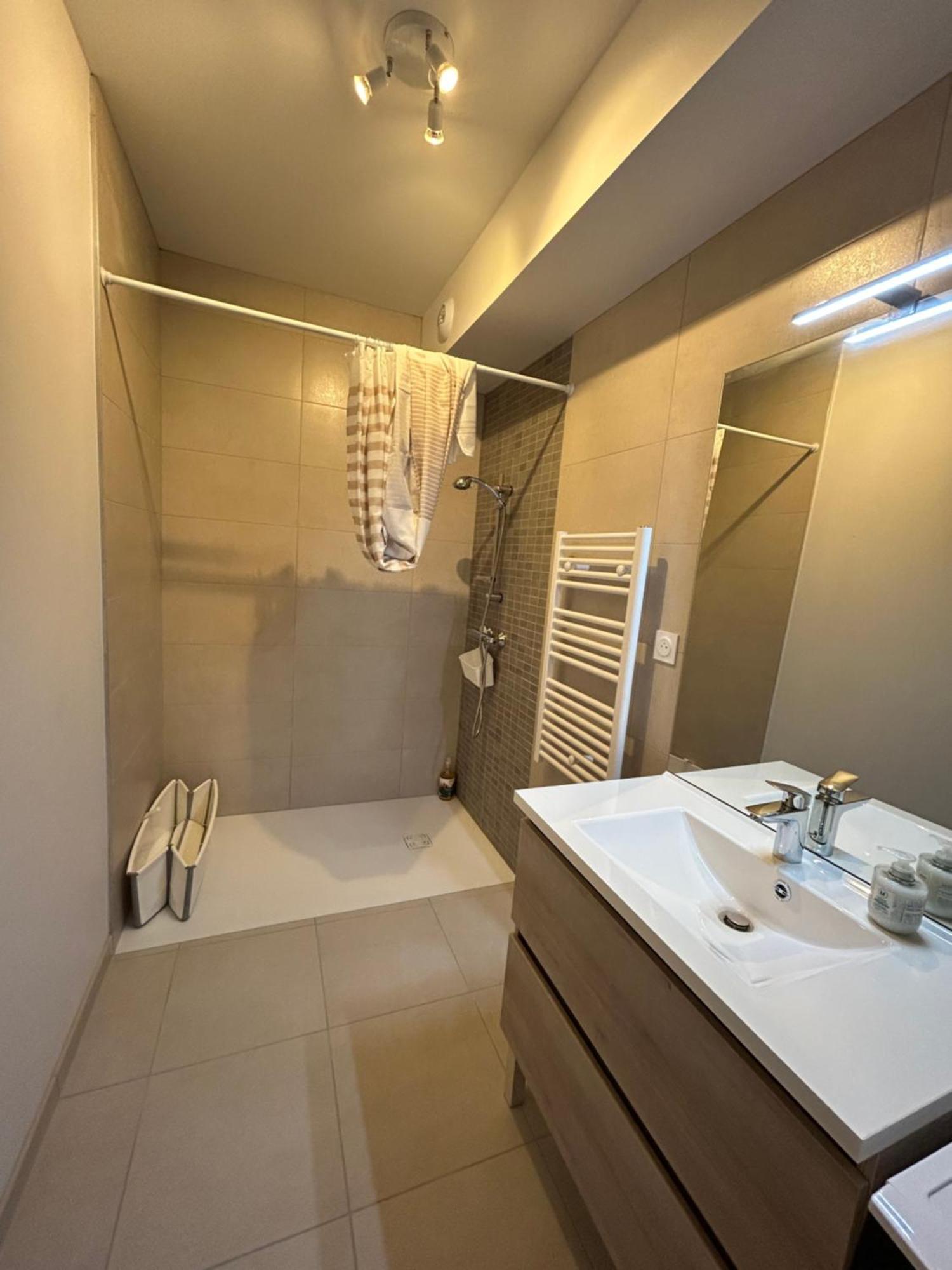 Appartement Avec Jardin Chateauneuf-de-Galaure Экстерьер фото